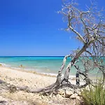 Aparthotel Cala Viola 3*
