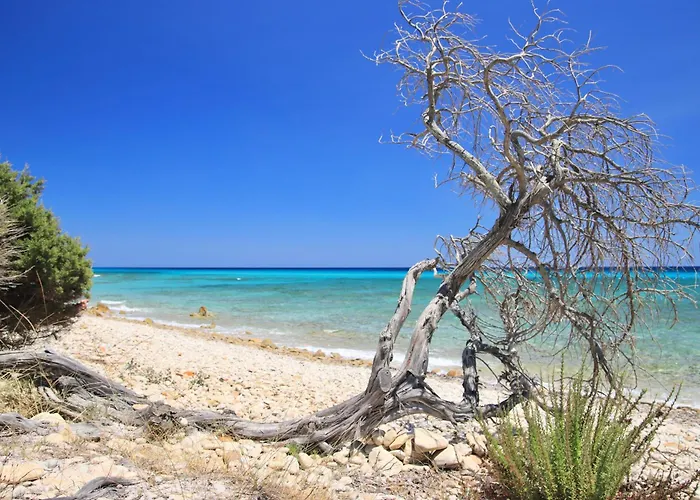 公寓式酒店 Con Piscina A Sos Alinos